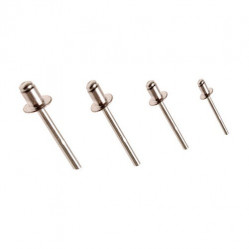 Category image for Metal Rivets