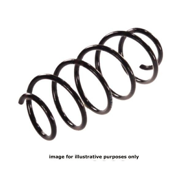 NEOX COIL SPRING  RA1819 image