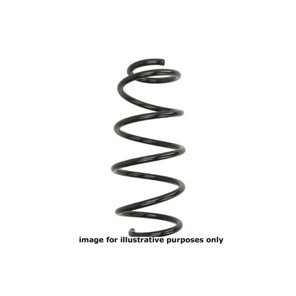 NEOX COIL SPRING  RA3419 image