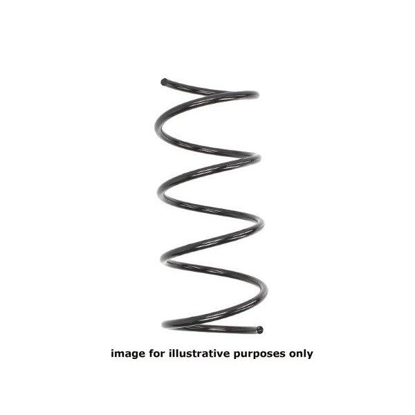 NEOX COIL SPRING  RA3100 image
