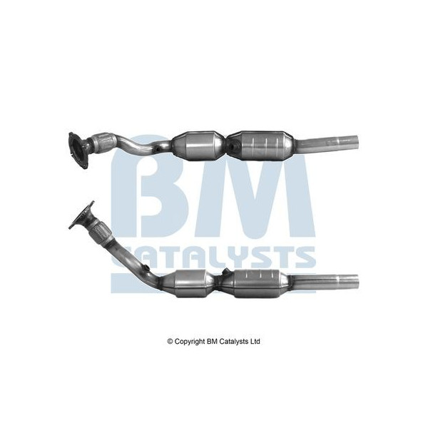 Homologated Petrol Cat image