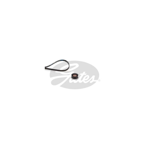 Drive Belt Kit image