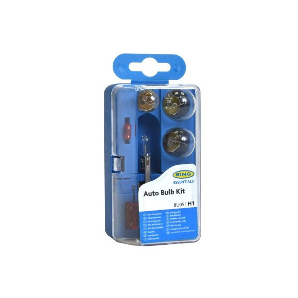 H1 (R448EQ) Single Headlamp Mini Bulb Kit image