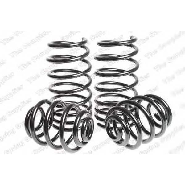 SPORT SPRINGS TUV RENAULT image