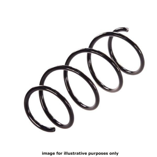 NEOX COIL SPRING  RH3029 image