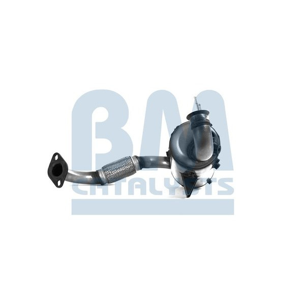 Homologated Diesel Cat & DPF image