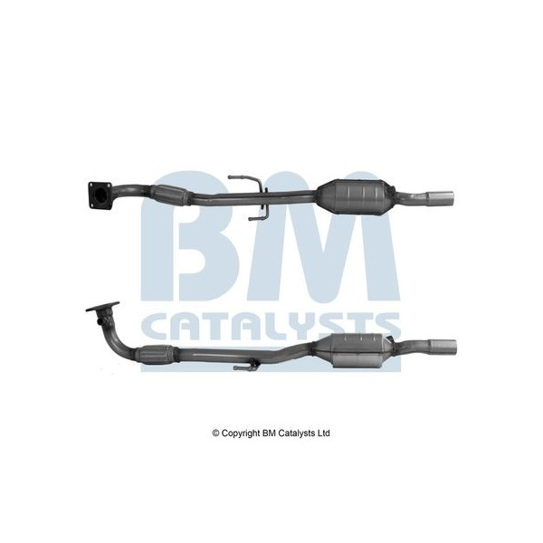 Homologated Petrol Cat image