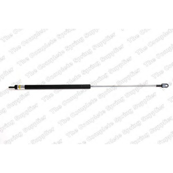 GAS SPRING REAR FIAT image