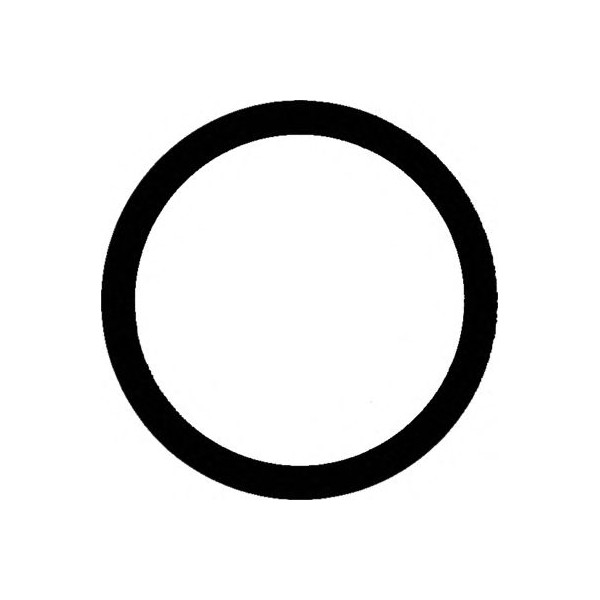 Manifold Gasket image