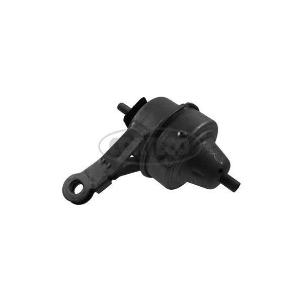 MOUNTS image