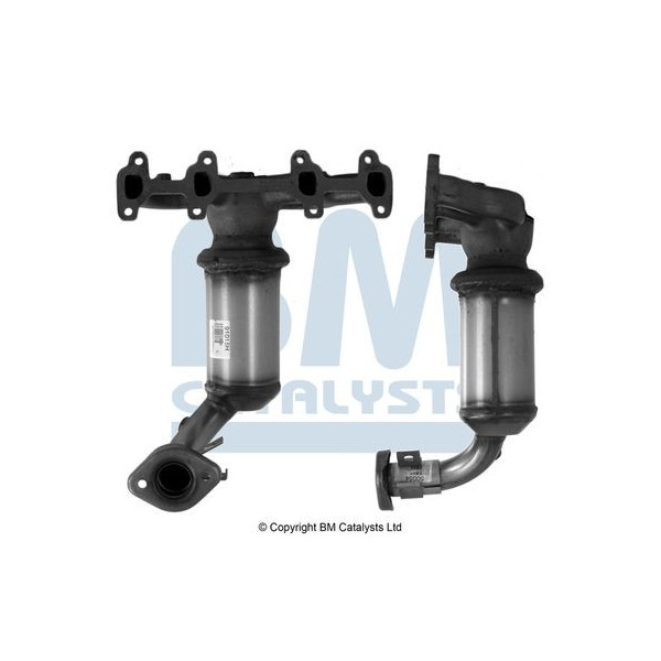 Homologated Petrol Cat image