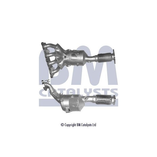 Homologated Petrol Cat image