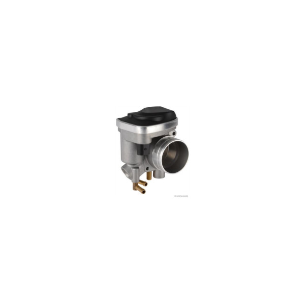 Throttle Body image