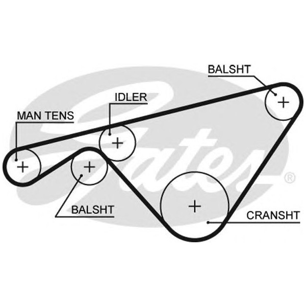 TIMING BELT image