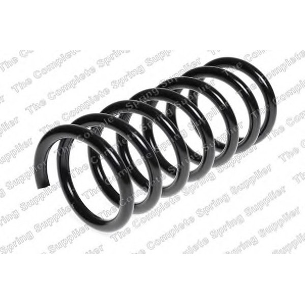 COIL SPRING REAR FORD H/D image