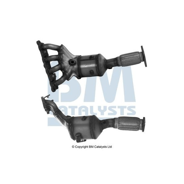 Homologated Petrol Cat image