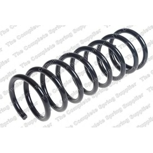 COIL SPRING REAR JAGUAR image