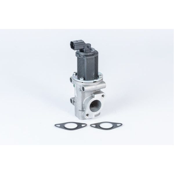 FIAT EGR VALVE image