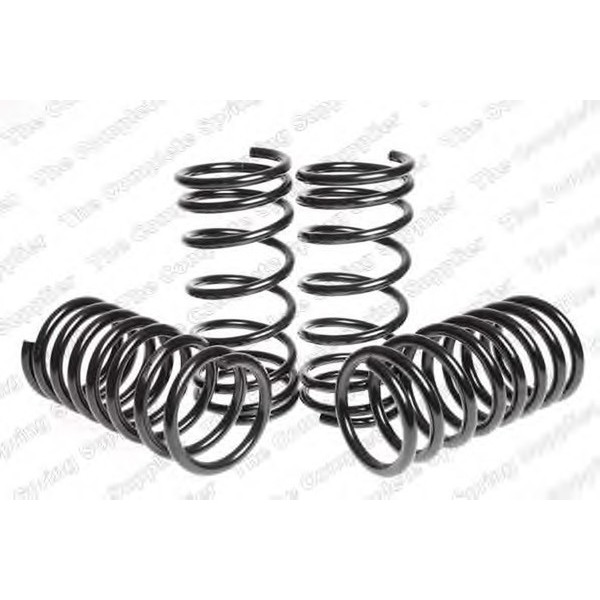 SPORT SPRINGS TUV FORD image
