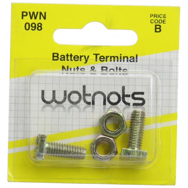 BATTERY TERMINAL NUTS/BOLTS