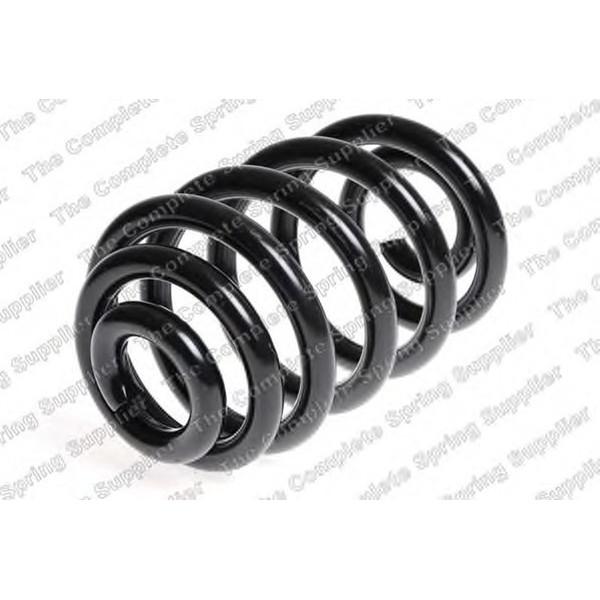 COIL SPRING REAR BMW image