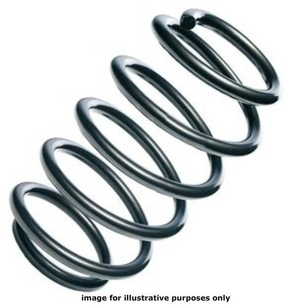 NEOX COIL SPRING  RA3799 image