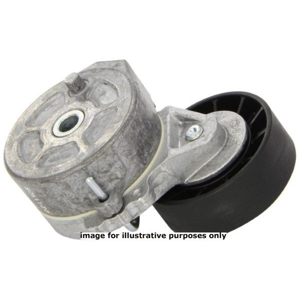 TENSIONER CITR 2.0 HDI 99-07 image