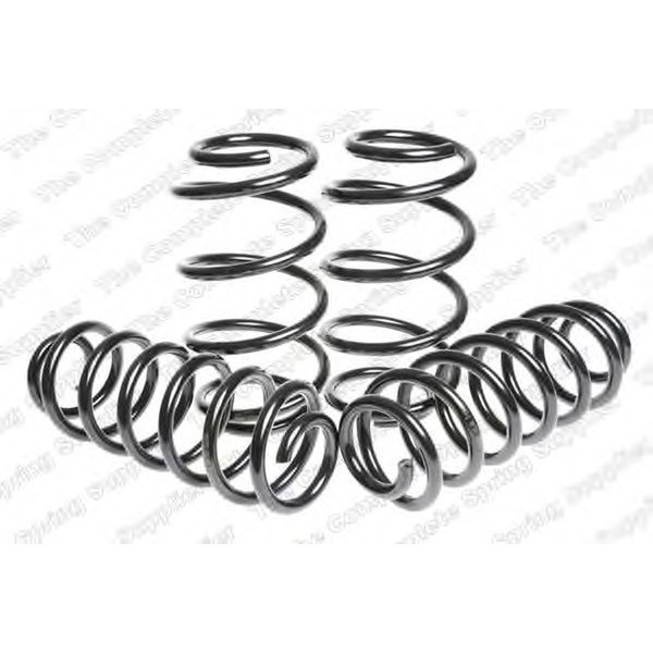 SPORT SPRINGS TUV SKODA image