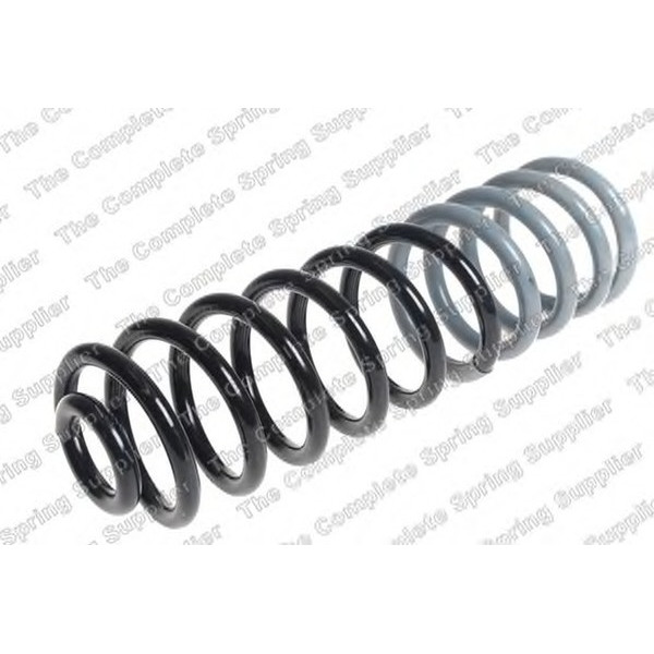 COIL SPRING REAR VW image