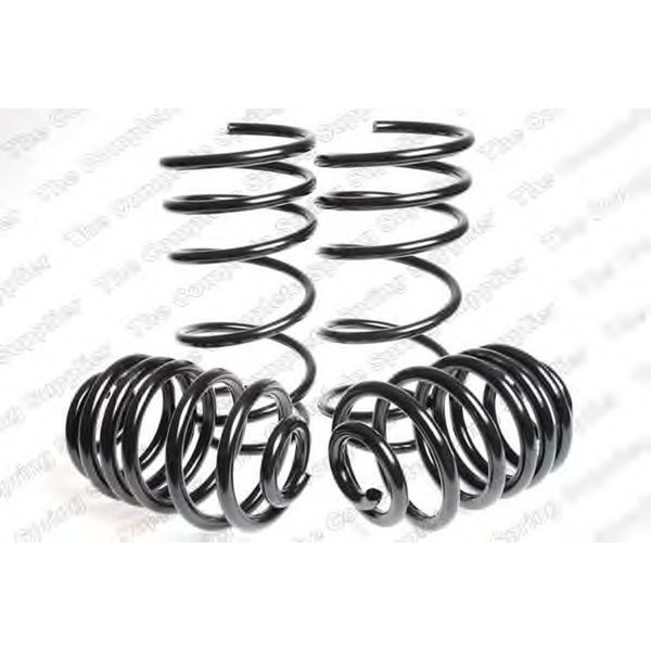 SPORT SPRINGS TUV OPEL. image