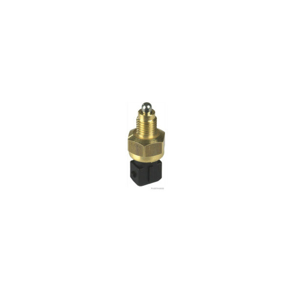 Reverse Light Switch image