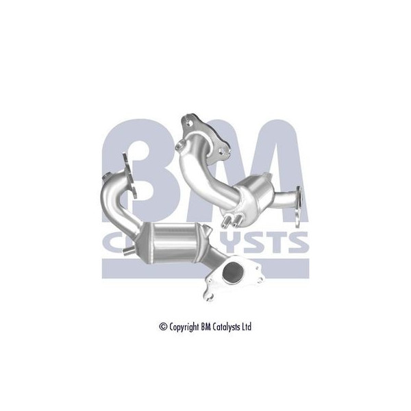 Homologated Petrol Cat image