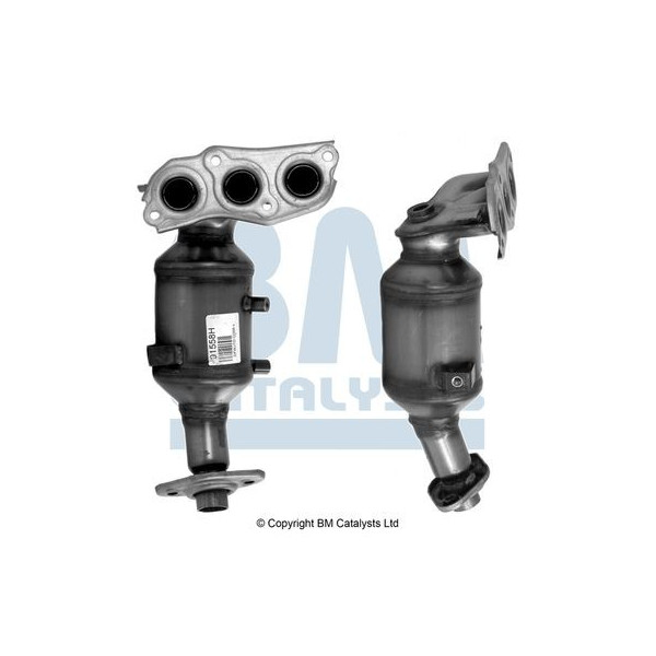 Homologated Petrol Cat image