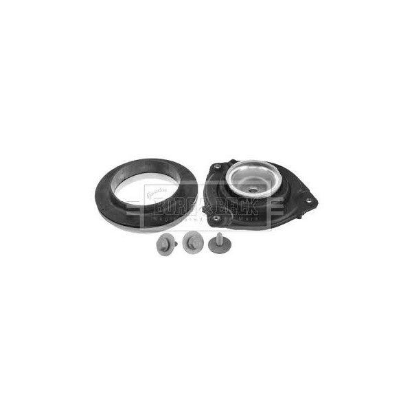 STRUT MOUNTING KIT RH image