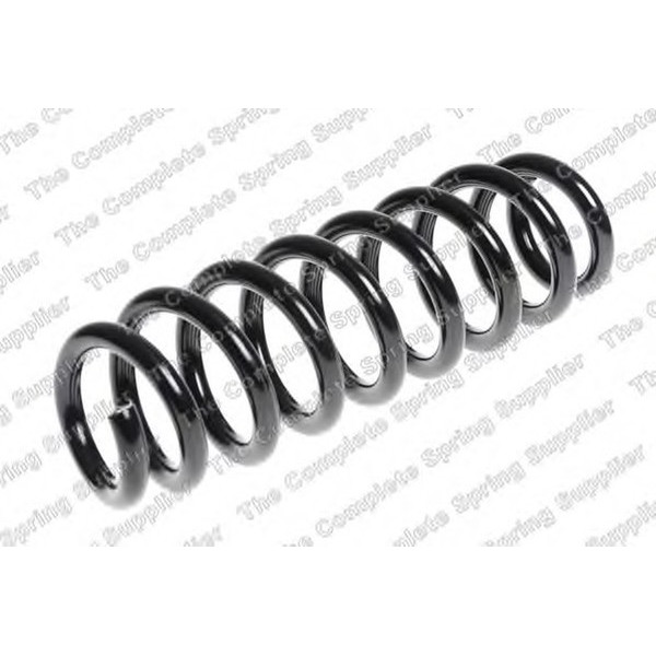 COIL SPRING REAR BMW image