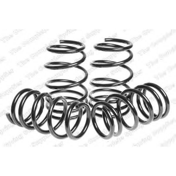 SPORT SPRINGS TUV SUZUKI image