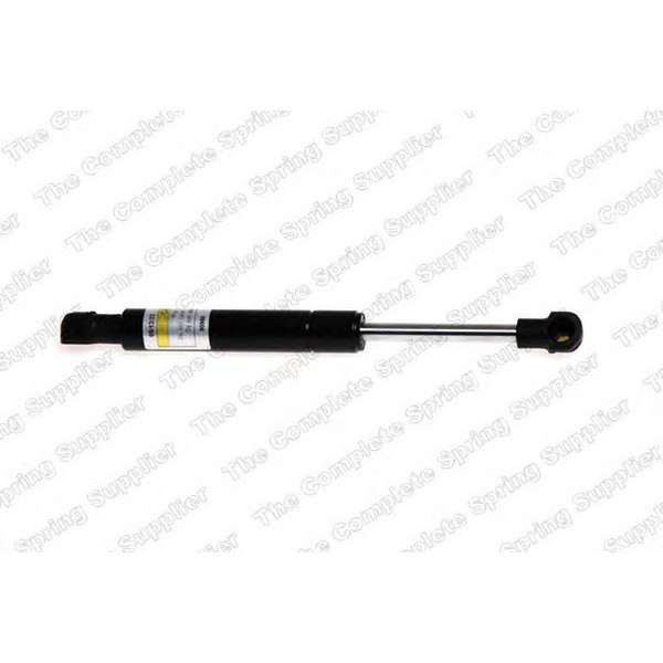 GAS SPRING REAR FORD image