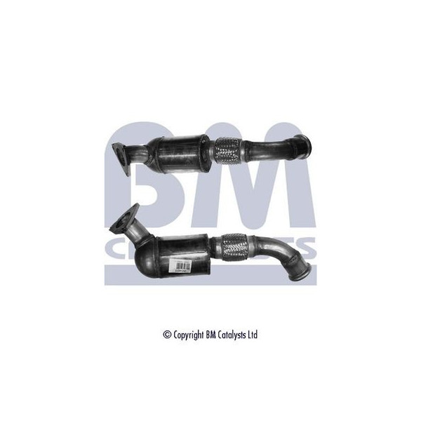 Homologated Diesel Cat image