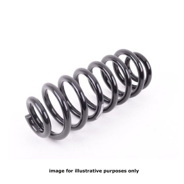 NEOX COIL SPRING  RH2503 image