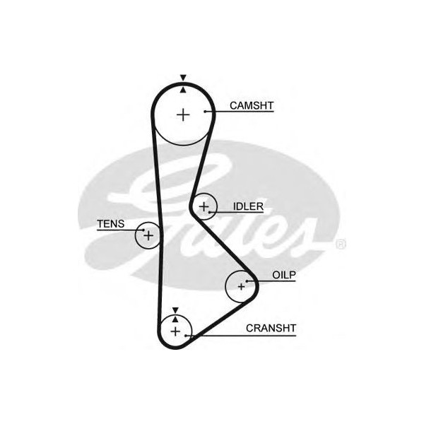 TIMING BELT image