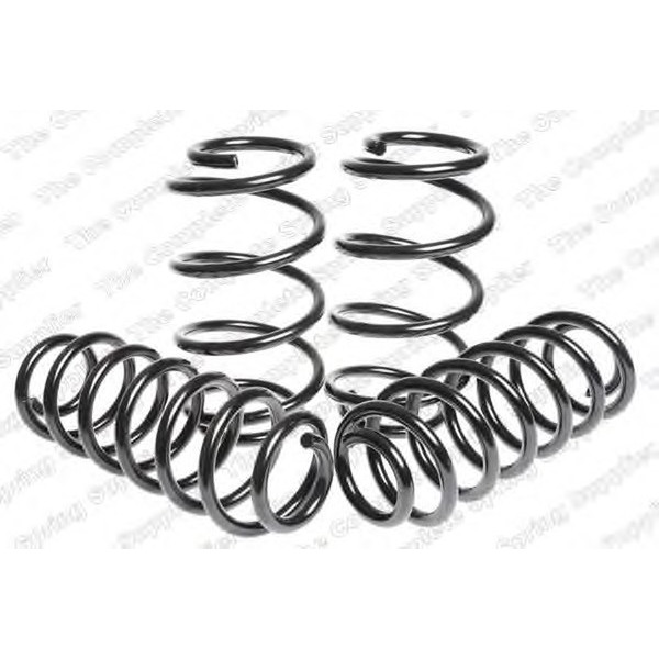 SPORT SPRINGS TUV SEAT image