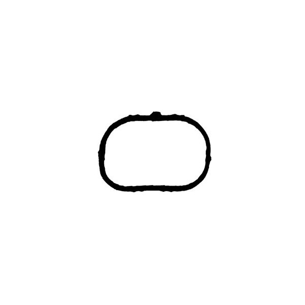 Manifold Gasket image
