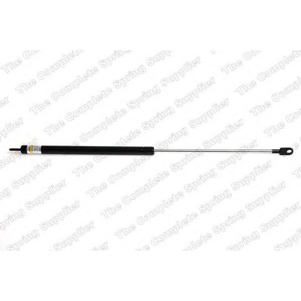 GAS SPRING REAR FIAT image