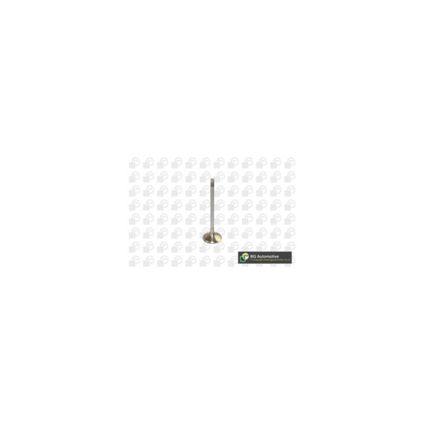Inlet Valve image