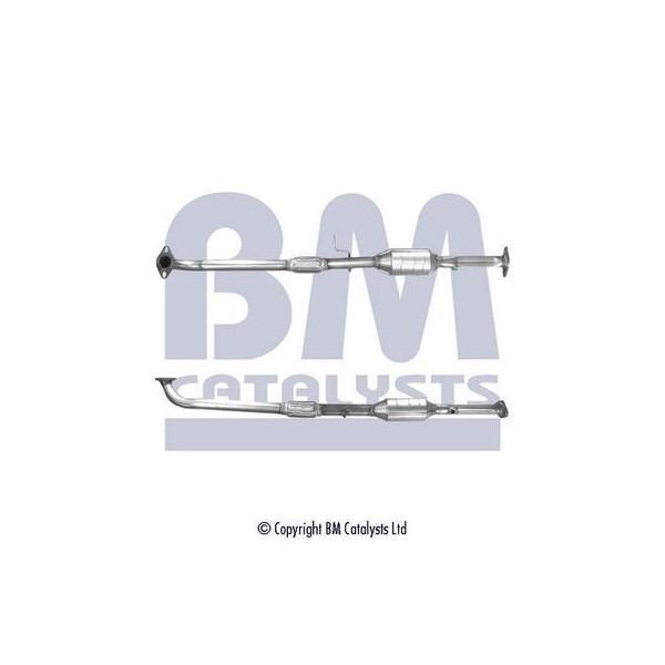 Homologated Petrol Cat image