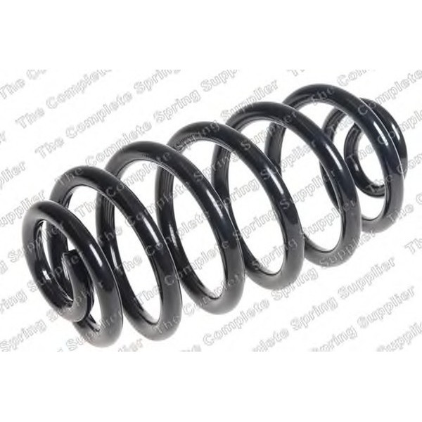 COIL SPRING REAR ROVER image