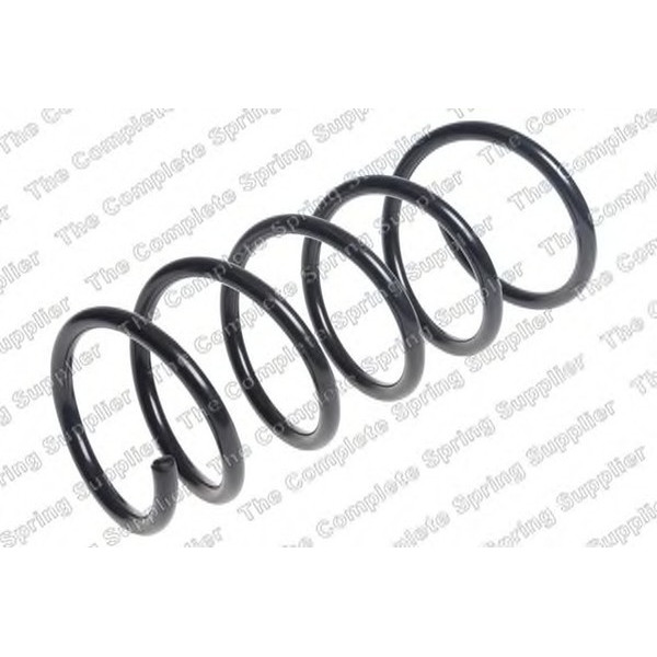 COIL SPRING REAR DACIA/RENAULT image