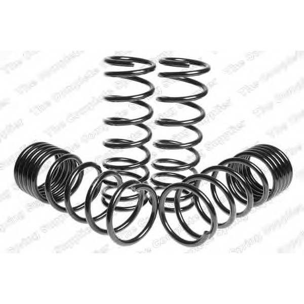 SPORT SPRINGS TUV NISSAN image
