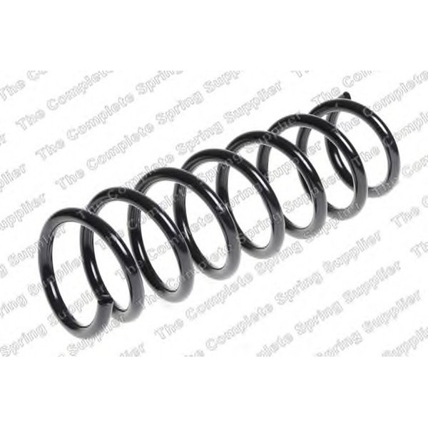 COIL SPRING REAR BMW image