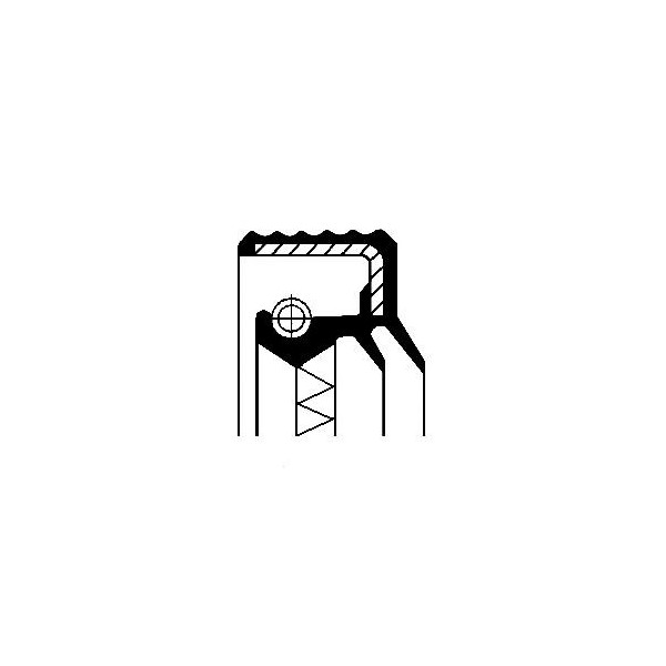 Radial Shaft Seal / RSS image